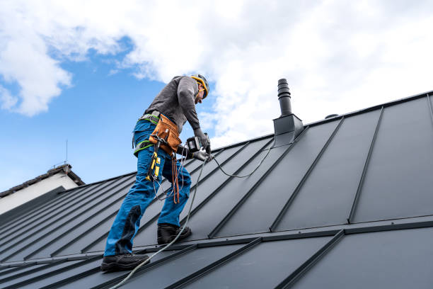 Best Roof Installation  in Laguna Vista, TX
